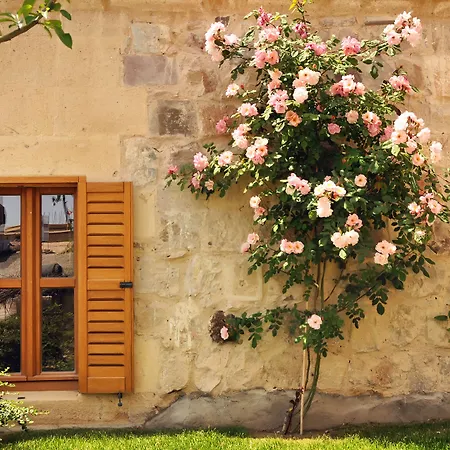 Argos In Cappadocia نفسهير