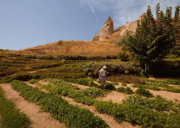 Szálloda Argos In Cappadocia